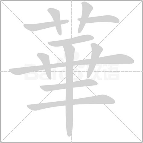 華名字意思|華的意思，華字的意思